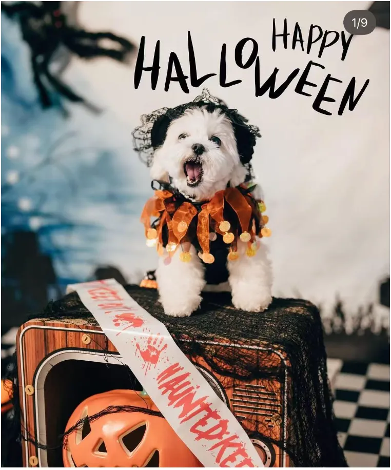 Halloween Instant Photo