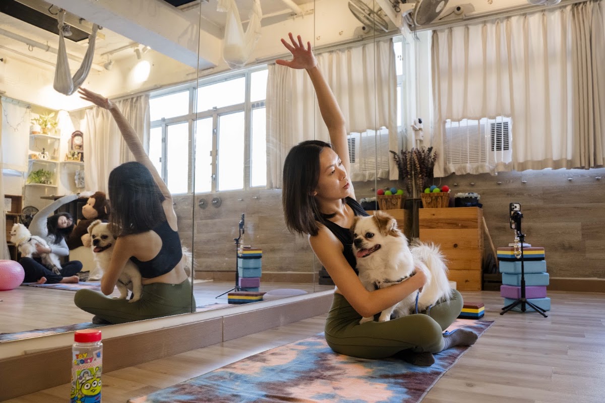 Doga Pawty
