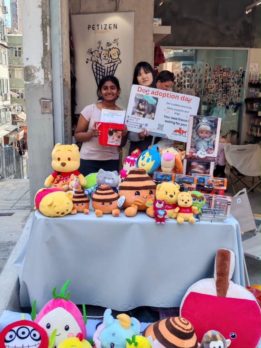 Sai Kung Stray Friends Foundation