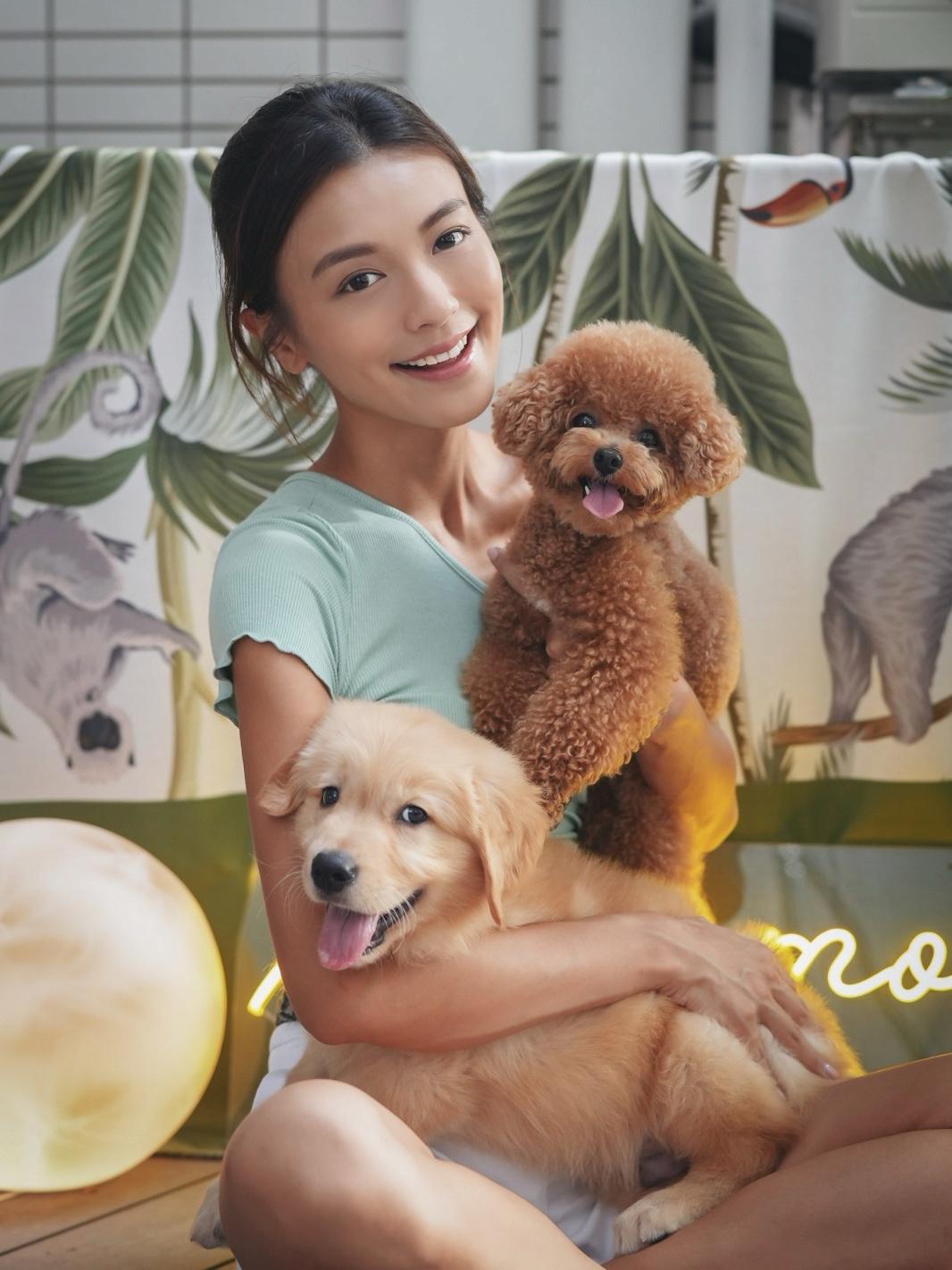 All-in-One Pet Care Sharing Session