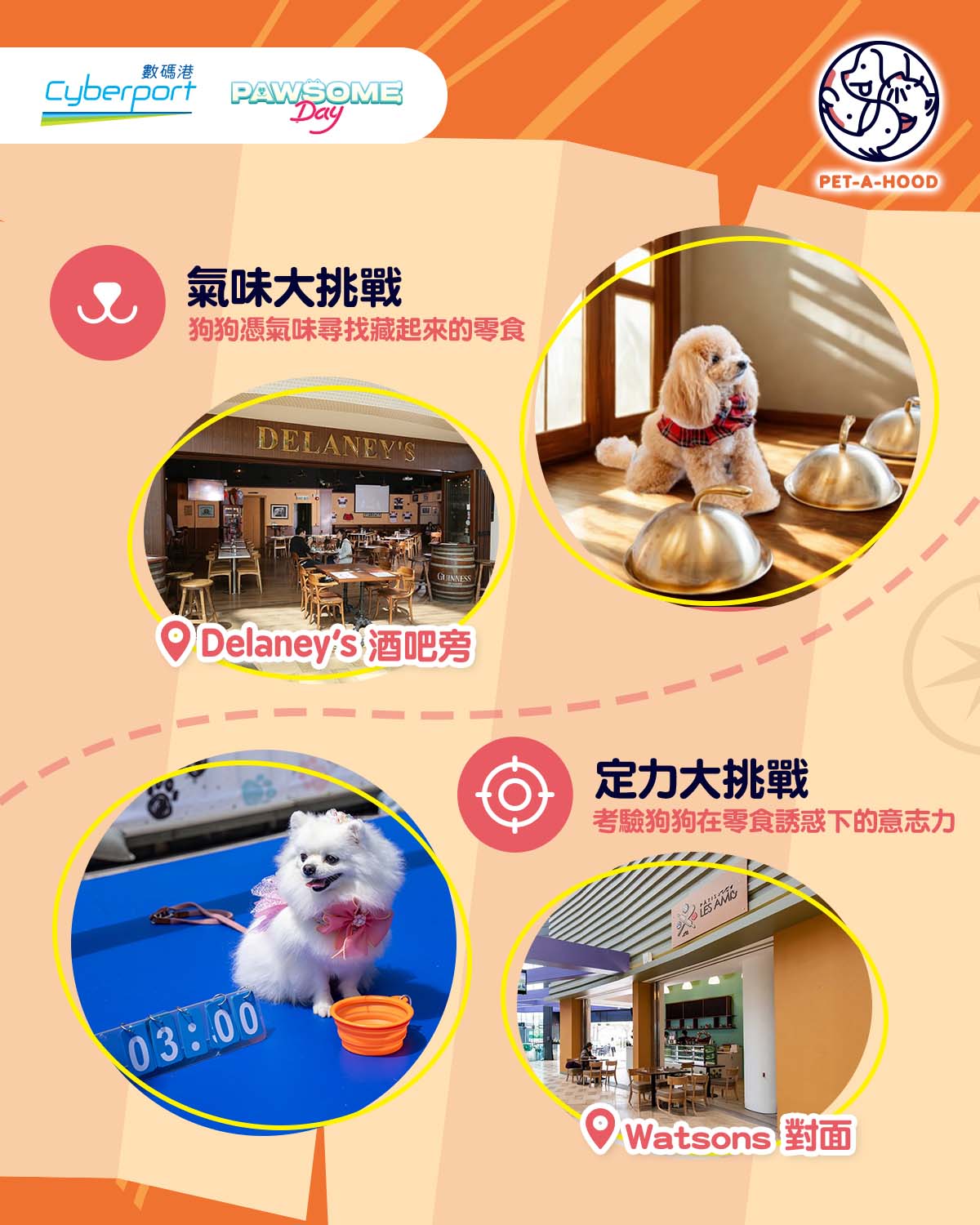 Pet Certificates & Prizes