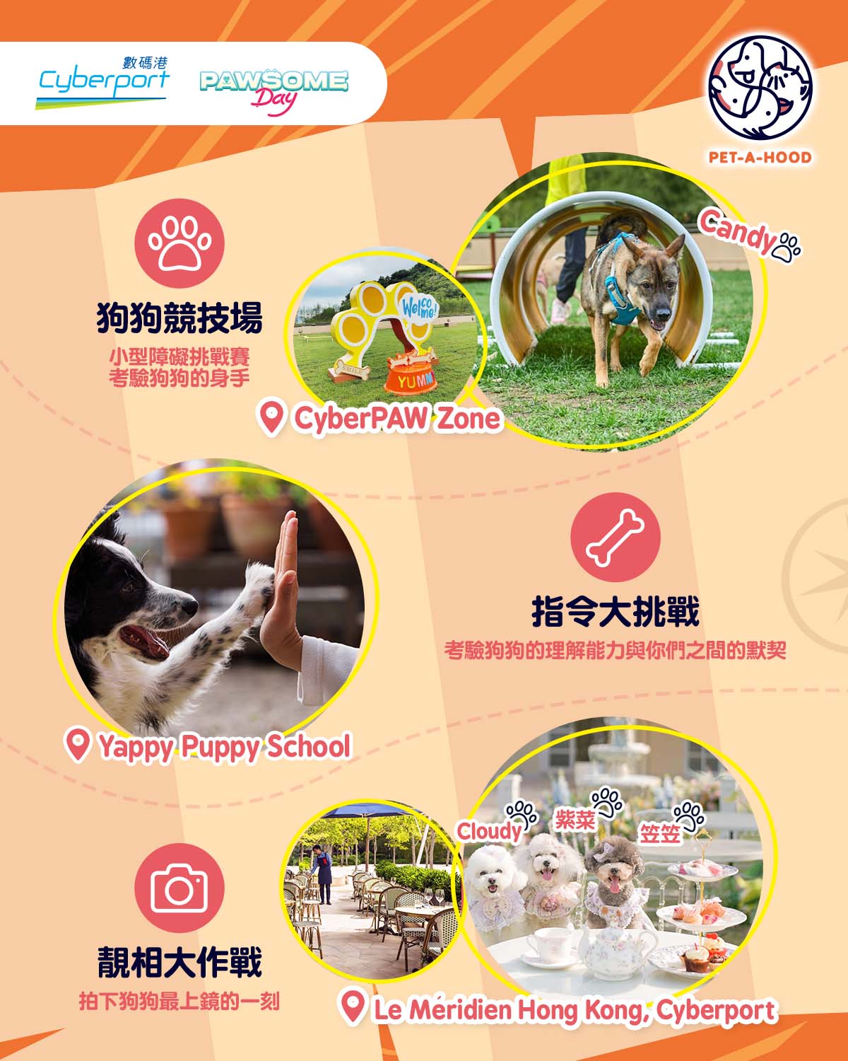 Pet Certificates & Prizes