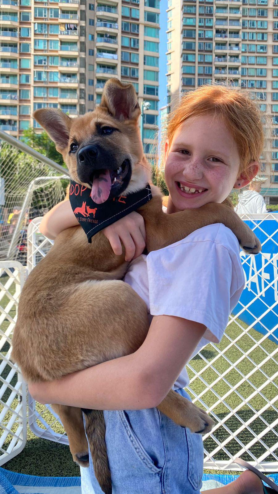 Dog Adoption by Sai Kung Stray Friends