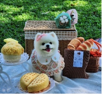 HK-style snack-shaped toys