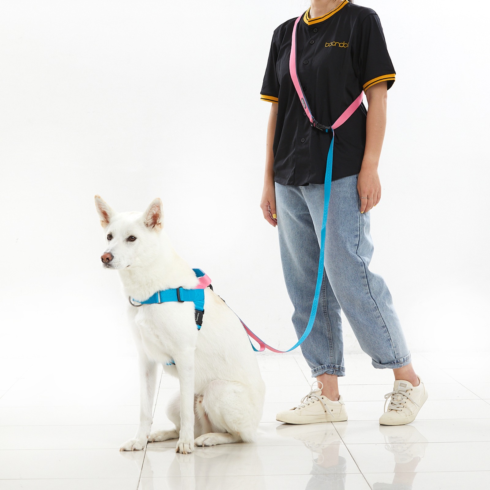 Boondog