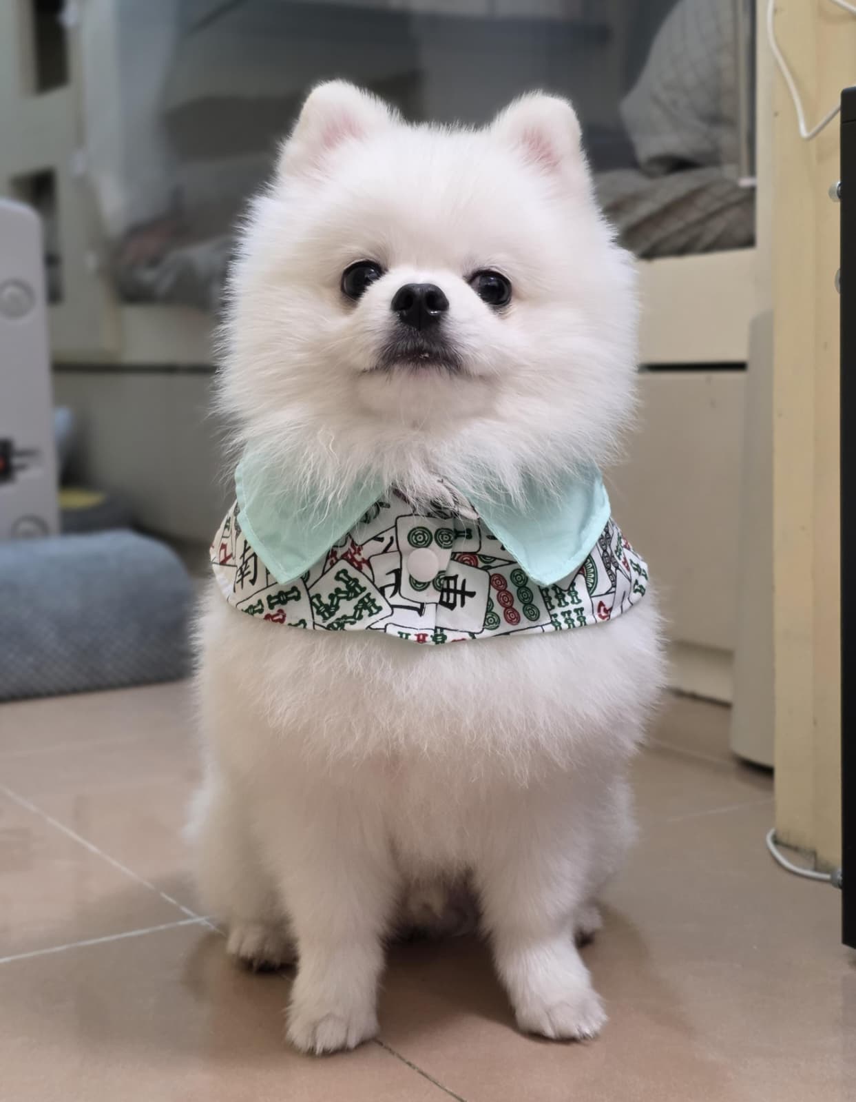 Dingnana_hk + 推し活魔法雜貨屋