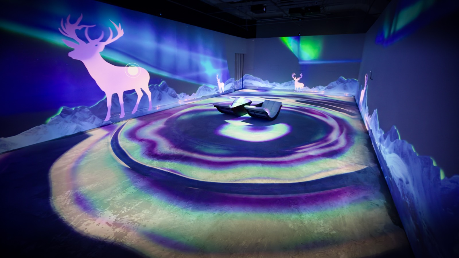 Aurora Gallery Immersive Light Showe